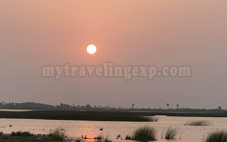 mytravelingexp.com